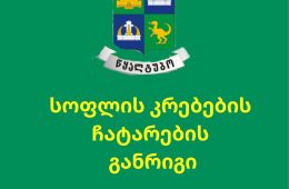 Зеленый Желтый Фотография Колледж Плакат (10)